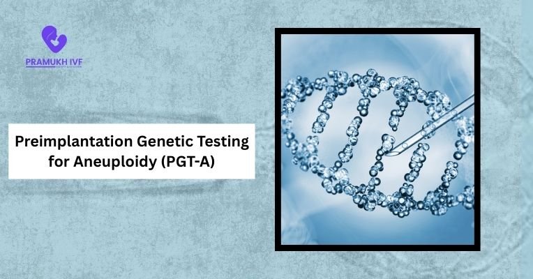 Preimplantation Genetic Testing for Aneuploidy (PGT-A)